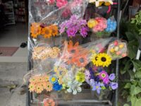 Sunshine Flower6