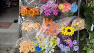 Sunshine Flower6